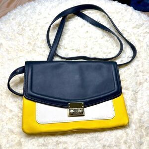 Express crossbody purse